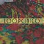 Loopcinico