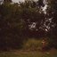 Nature - Single