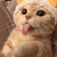 Avatar for gio_tt