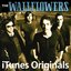 iTunes Originals - The Wallflowers