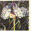 Our Thin Mercy of Error
