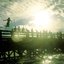 In the Pond - EP
