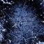 Tree House - Single
