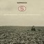 With Our Heads In the Clouds & Our Hearts In the Fields