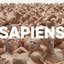 Sapiens