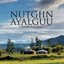 Nutgiin Ayalguu