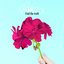Find the truth - Single