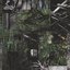 vignetting
