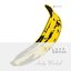 The Velvet Underground  Nico 45th Anniversary (Deluxe Edition)