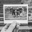 Slika - Single