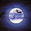 Avatar for Lisa_Nocturne