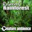 Relaxing Rainforest (Nature Sounds)