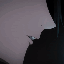 Avatar for putrefy