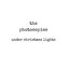 Under Christmas Lights