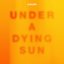 Under A Dying Sun