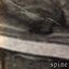 Spine