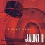Jaunt II: A Sojourn In Bass