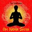 Om Nama Shiva