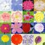Oto no Bouquet Onuki Taeko Covers