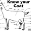 Avatar für cheekygoat