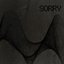 Sorry (Digital Underground)