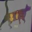 Stray Cat - Single