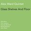 Glass Shelves and Floor