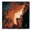 The Best of Bonnie Raitt on Capitol 1989-2003
