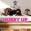 Hurry Up