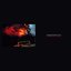 Fires Frame the Silhouette LP