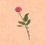 For the Ones Who Love You