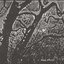 Weak Wrists Demo