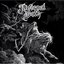 Demo #1 / A Mirror Blackened