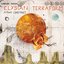 Elysian Terraform