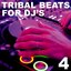 Tribal Beats for DJ's - Vol. 4