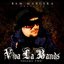 Bam Margera Presents Viva La Bands. Vol 2