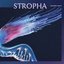 Stropha