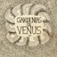 Gardenias on Venus