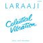 Soul Jazz Records Presents Laraaji: Celestial Vibration