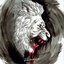 What Falls From the Lion's Mouth