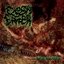 Cadaver And Corpses