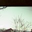 Я хотел бы все слова поделить на букву м