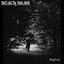 Bigfoot - Single