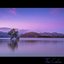 The Calm Interlude - Single