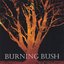 Burning Bush