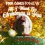 All I Want For Christmas Is You - Single