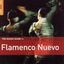 Rough Guide to Flamenco Nuevo