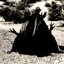 Ecological Grief - Relentless Visions of Fire and Aridification