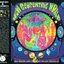 New Geocentric World of Acid Mothers Temple