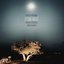 Spring Night